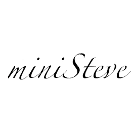 miniSteve a Musica In Fiera | musicainfiera.it